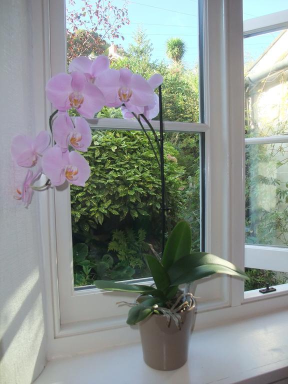 The Fernery B&B Lynton Cameră foto